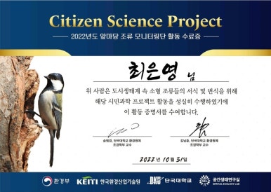 앞마당 이미지