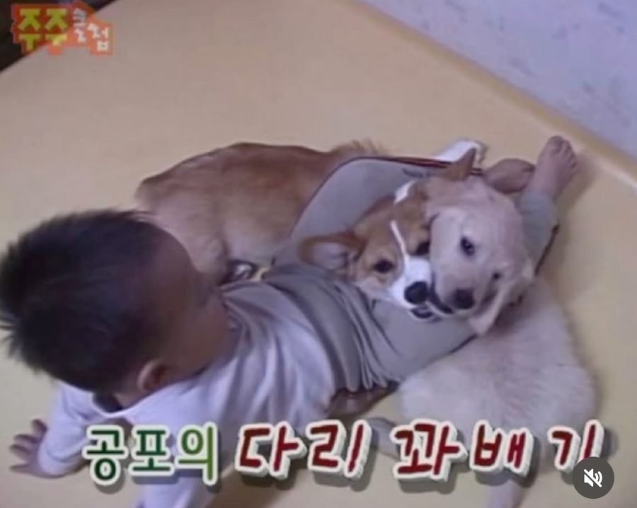 아 이미지