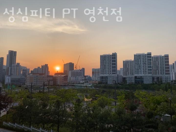 성심피티PT 이미지