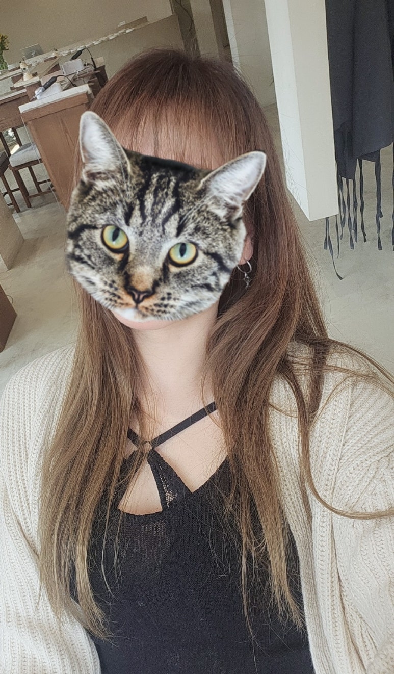 위에트연남 이미지