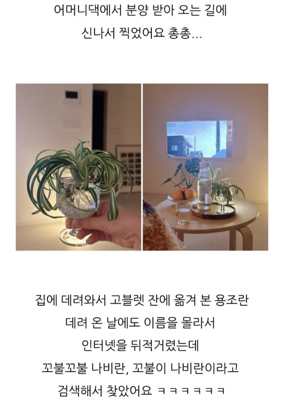 새순미용실 이미지