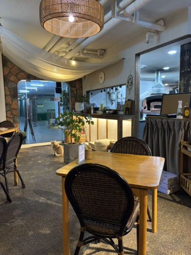 산드라니 이미지