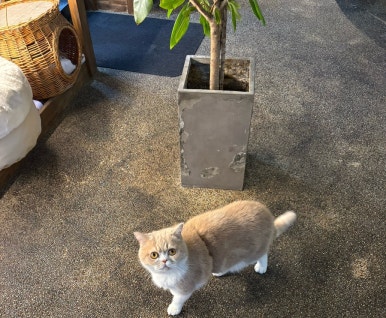 산드라니 이미지