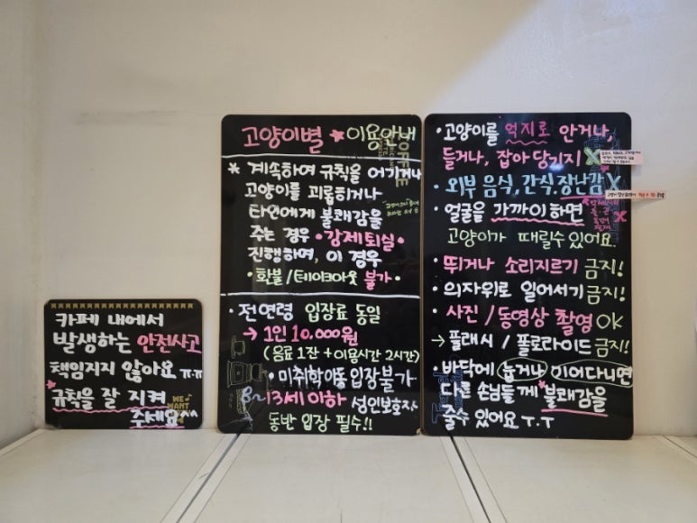 고양이별캣카페 이미지