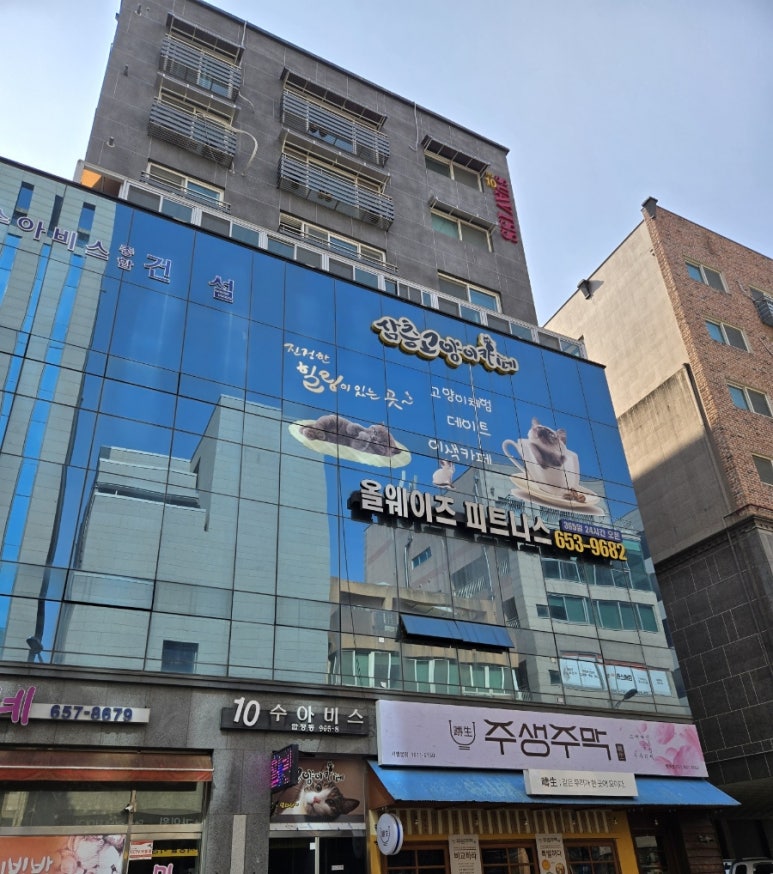 삼층고양이 이미지