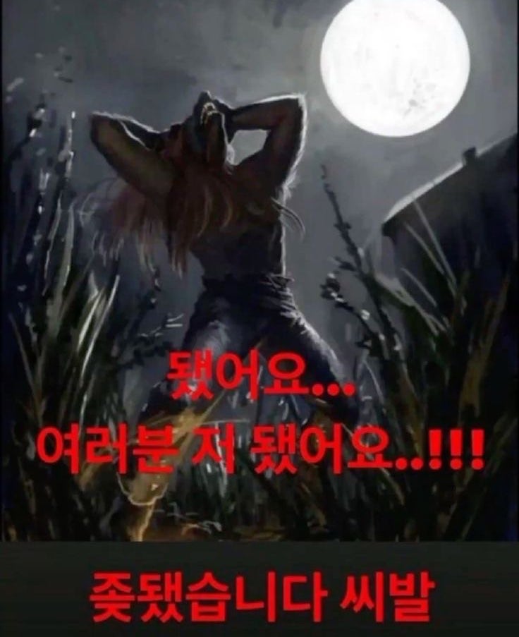끼끼마다 이미지