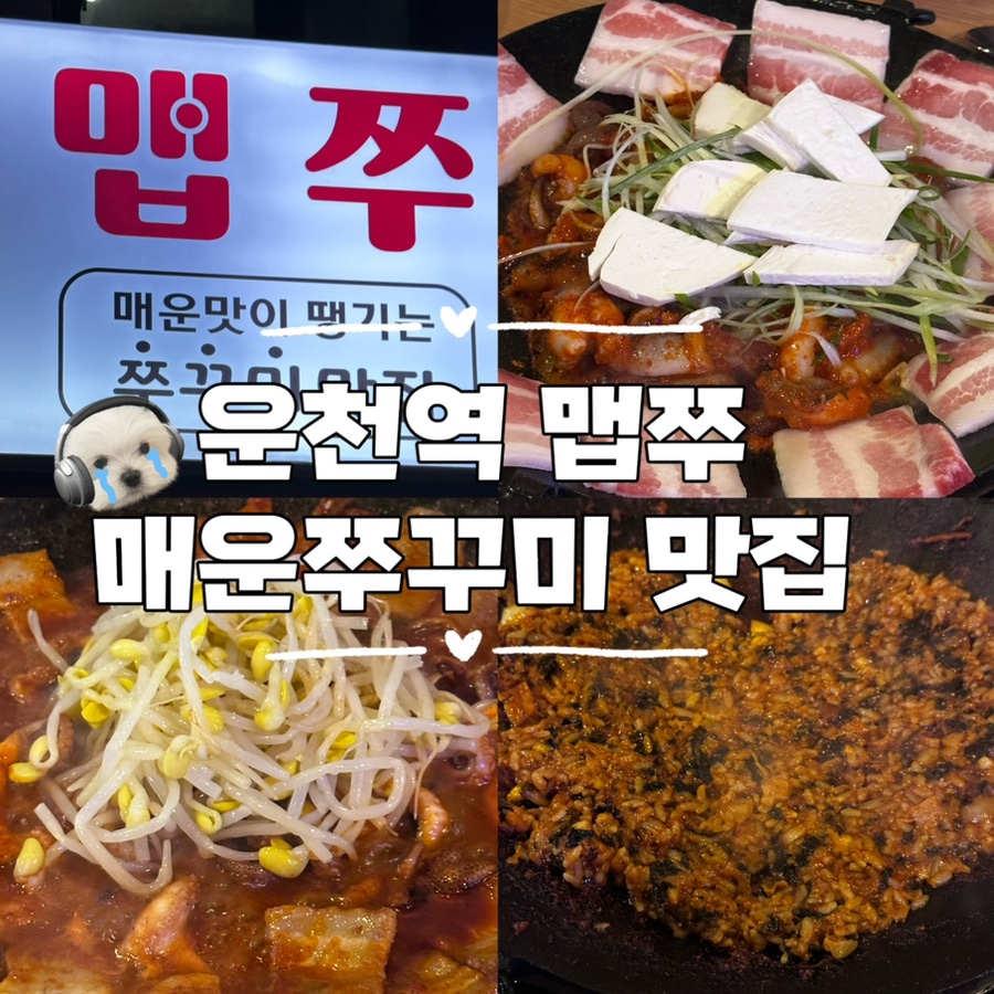 맵쭈 이미지