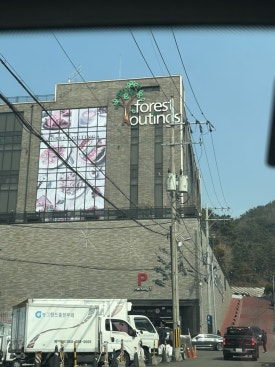 리리포레스트 이미지