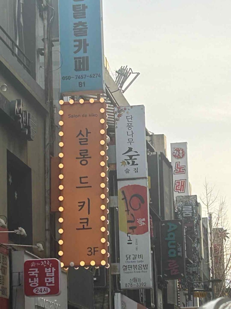 살롱드 고 이미지