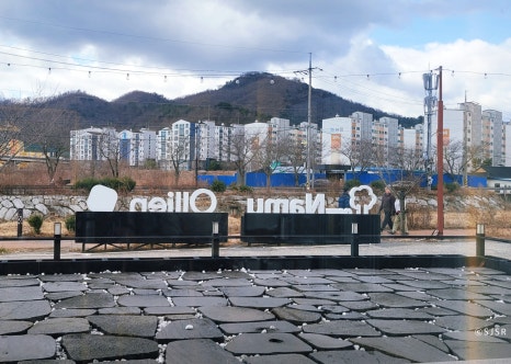 올리앤&나무 이미지
