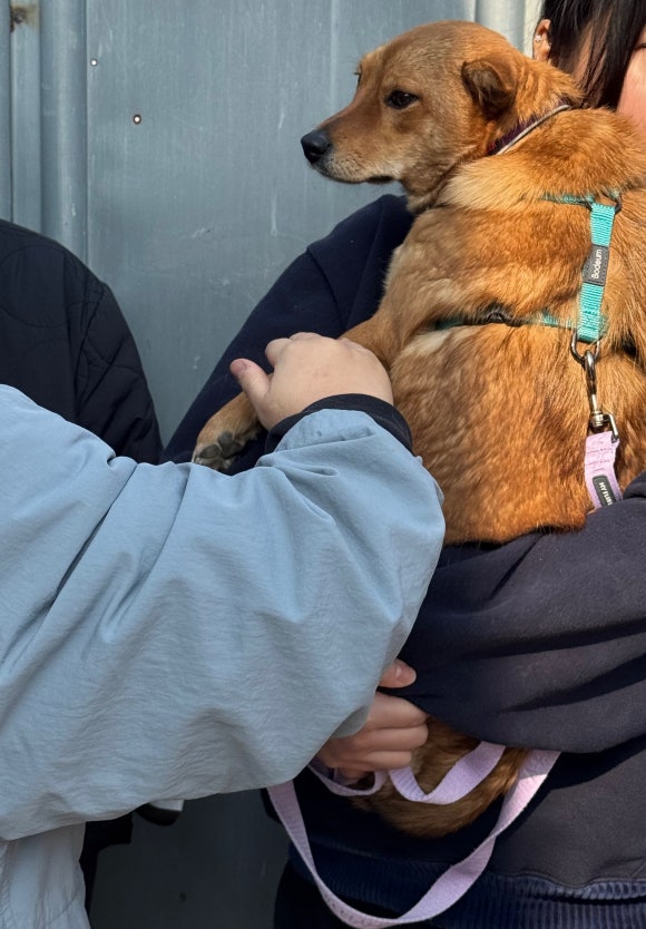 위드어스협동조합 이미지