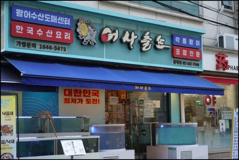 홍대 수족관 이미지