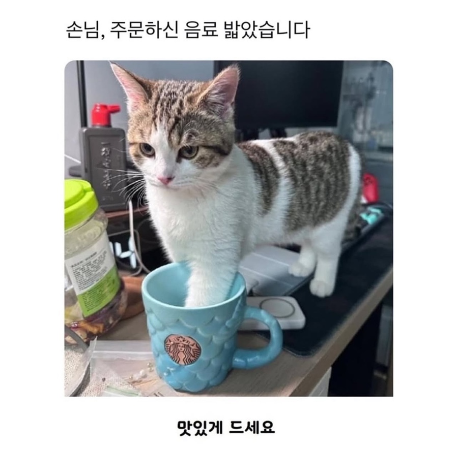 교연 이미지