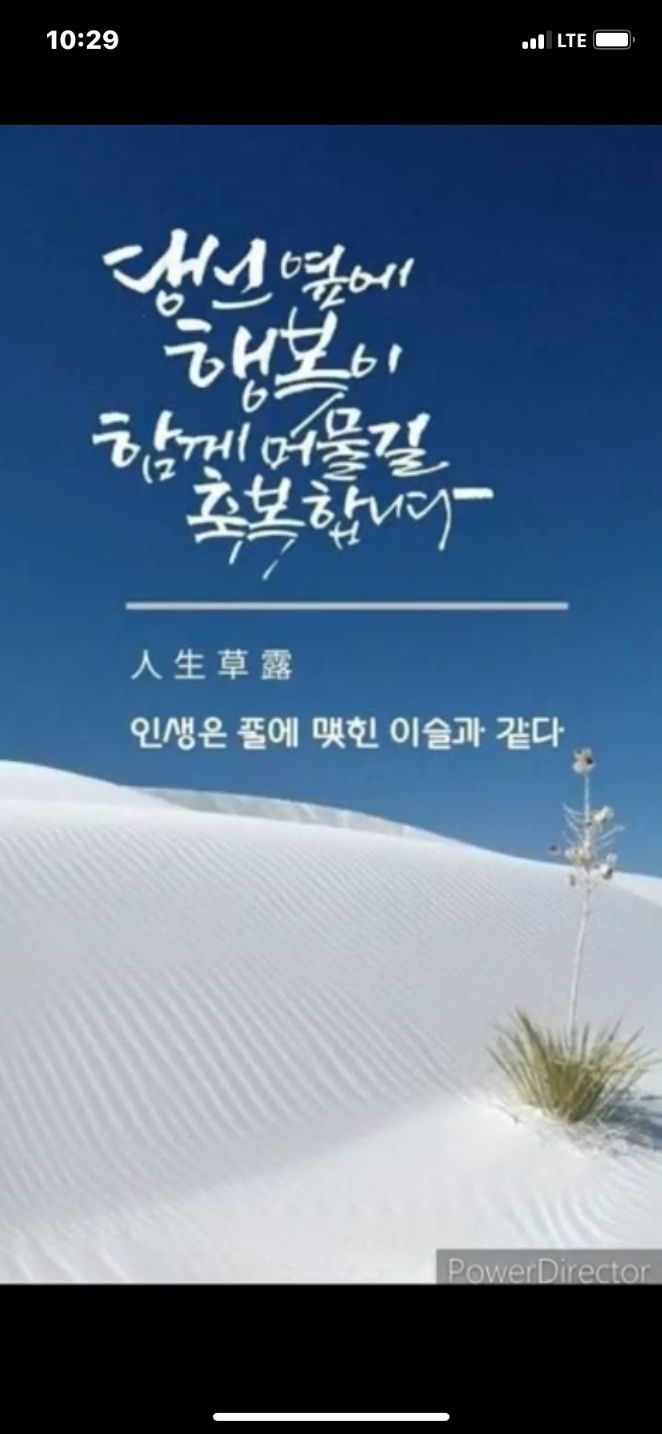 수지상사 이미지