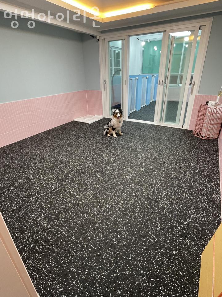 더벤티광양 이미지