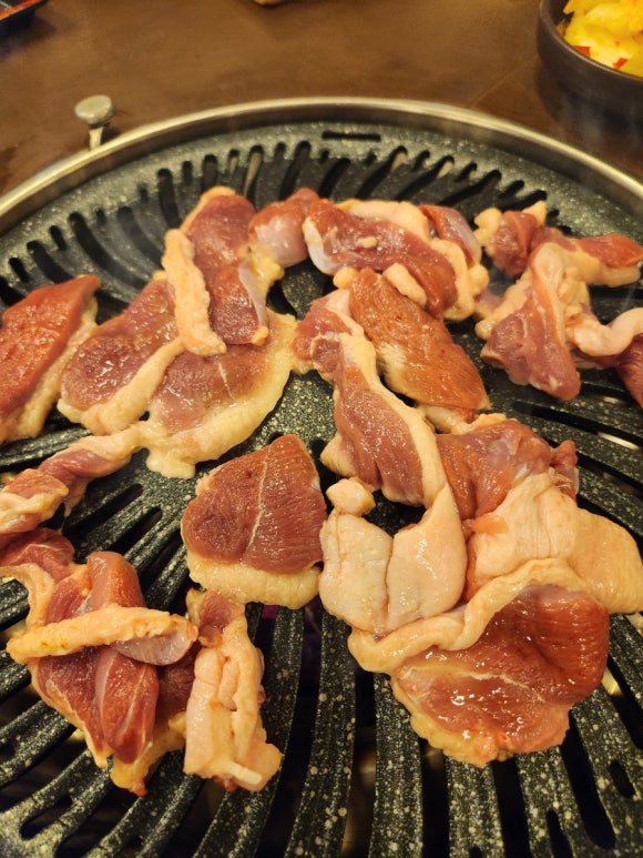 낙동생오리 이미지