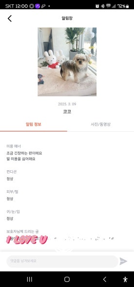 반하리 이미지