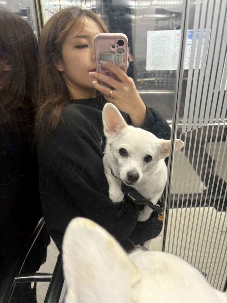 멕시카나송정화봉점 이미지