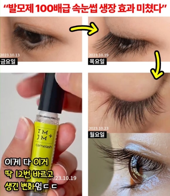 카멜래쉬 이미지
