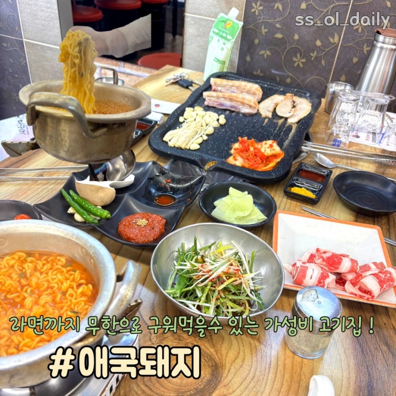 애국돼지 이미지