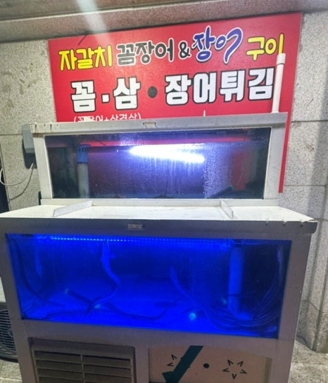자갈치꼼장어장어구이 이미지