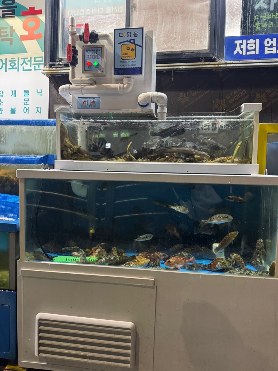 자연산을부탁회 이미지