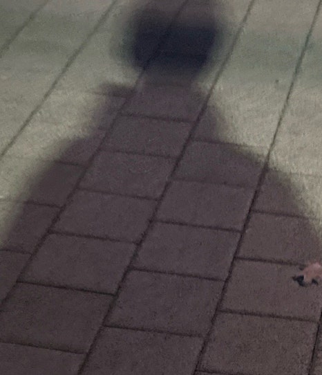니폰내폰 이미지
