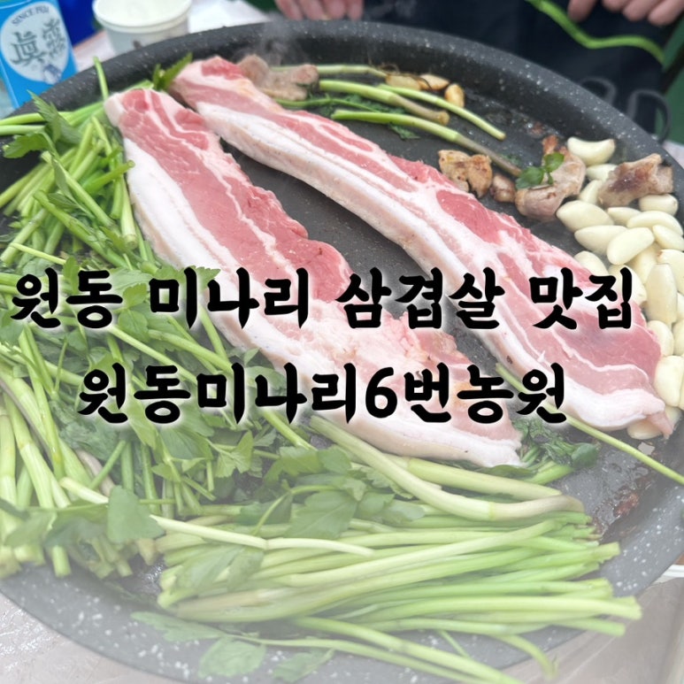 원동매화미나리집 이미지