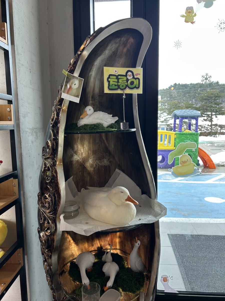 디코이덕 이미지