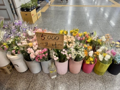 강남꽃직매장 이미지