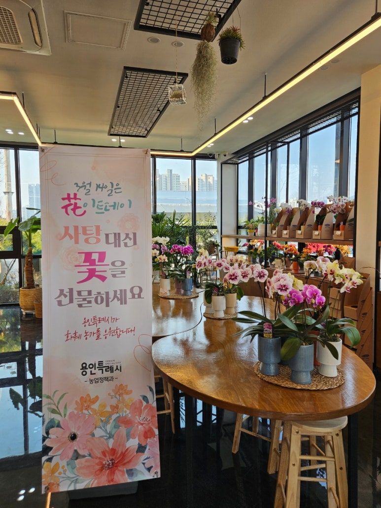 죽전화훼 이미지