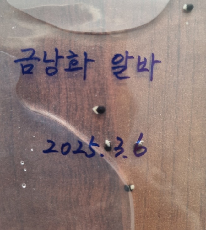 수작마당 이미지