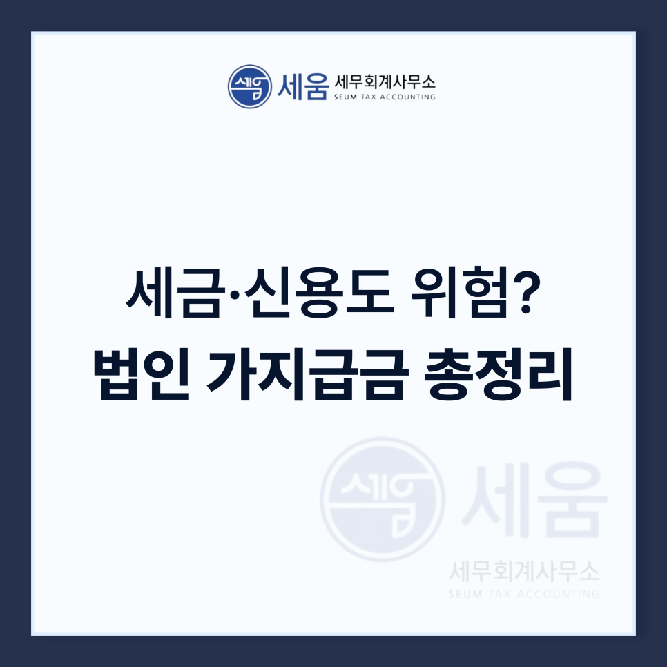 세움회계법인 이미지