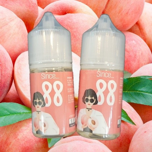 88전자 이미지