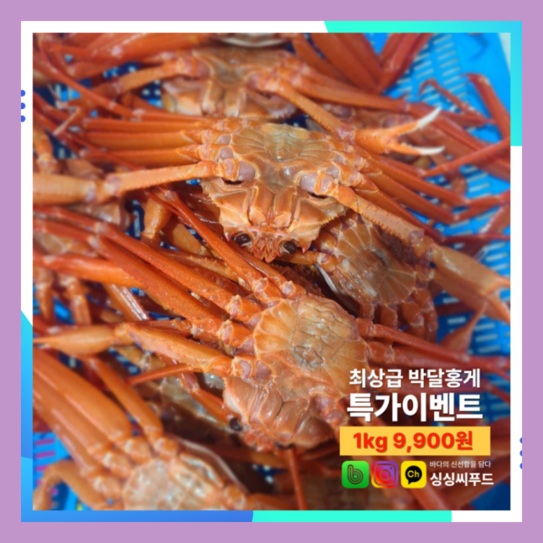 싱싱씨푸드 이미지