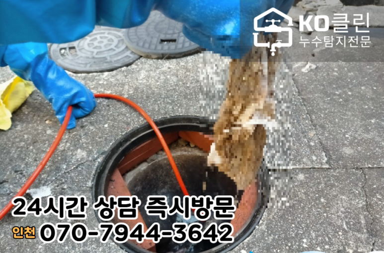 분포세차장 이미지