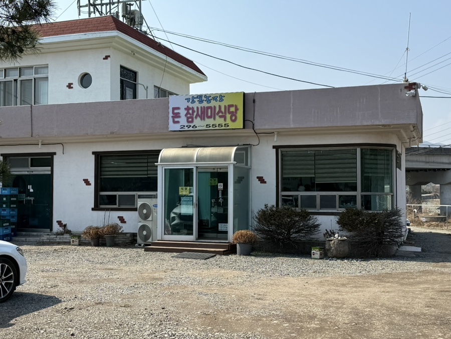 돈참새미 이미지