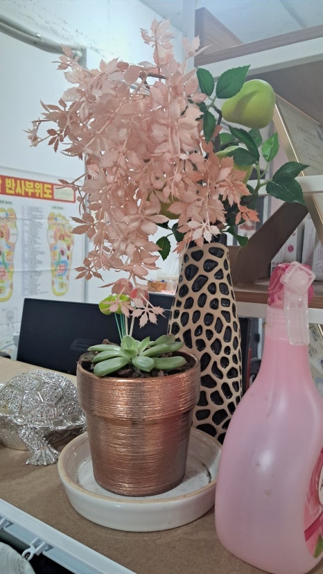 수피부샵 이미지