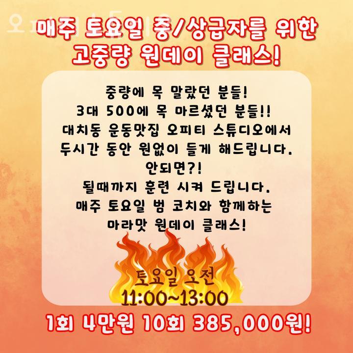 오피티 이미지