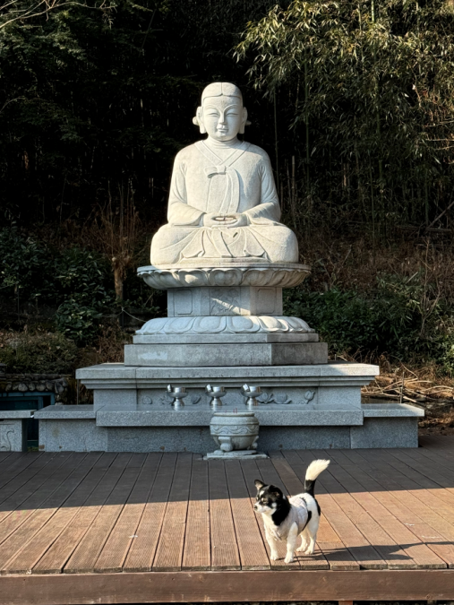 여장군 이미지