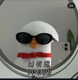 더오리 이미지