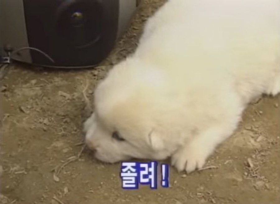 없음 이미지