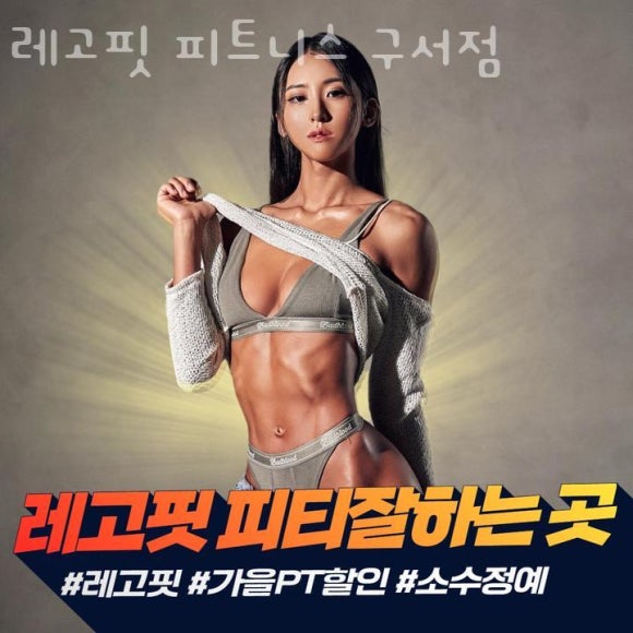 레고핏 이미지