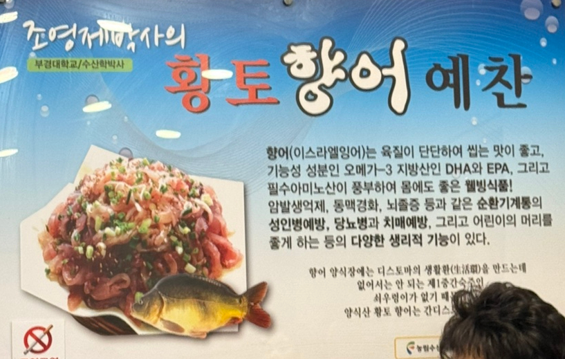 원조서원향어가 이미지