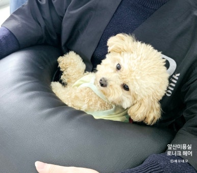 록연 이미지