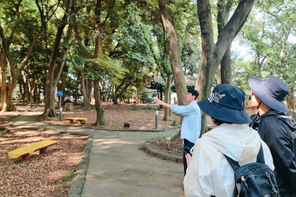 가이드오 이미지