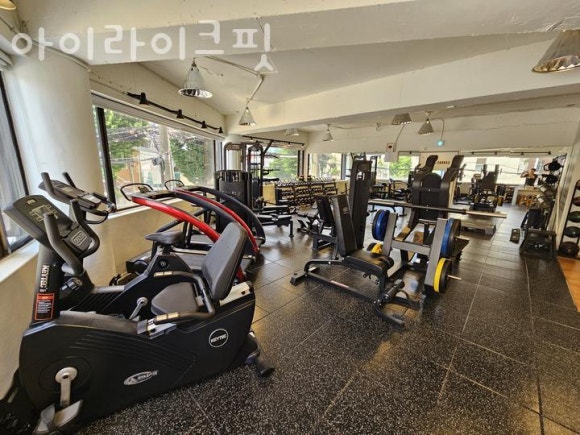 라이크핏 이미지