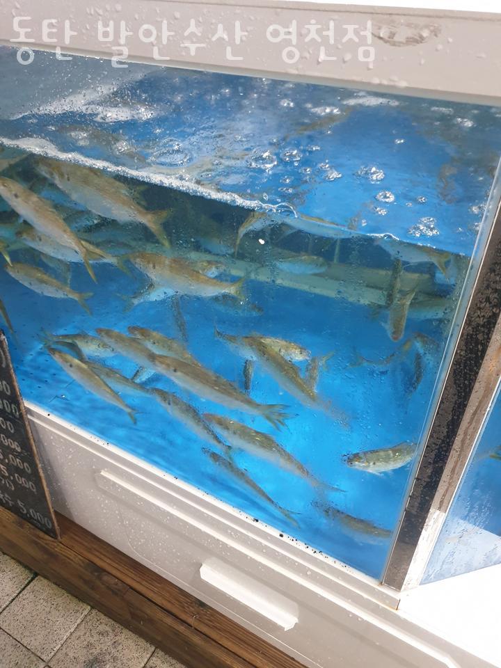 발안수산 이미지