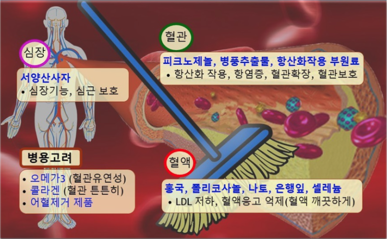 소망클린 이미지
