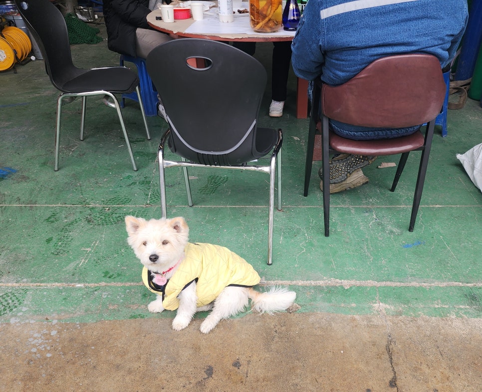 삼삼파티 이미지